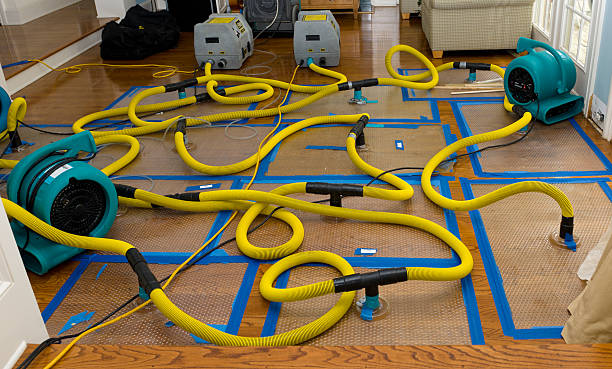 Professional Flood Damage Restoration technician working in Pound, WI